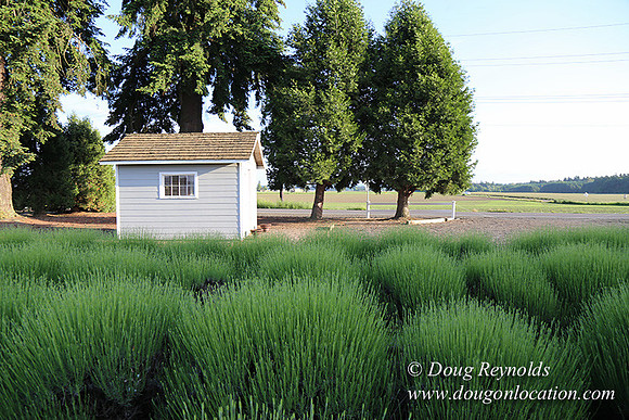 Toms Rd Side-6377