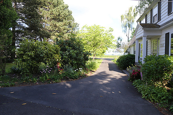 Dale's Penny Ln-4956