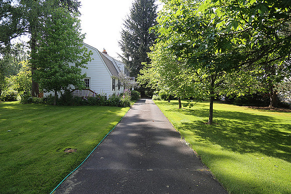 Dale's Penny Ln-4908