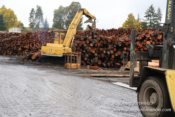Saw Mill and Lumber Yard