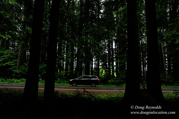 Larch Mt Rd