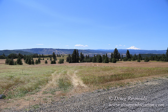 Brothers Ranch-8457