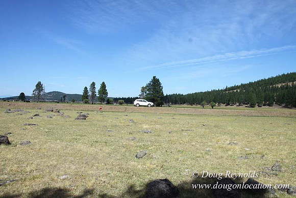 Ranch 18 South side of Hwy  has 2500 Acres of green fields Creeks water crossing Bridges on a Large Lake and miles of Dirt roads Oak trees  Forest land ATV Trails cows