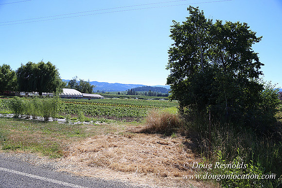 Thompson Rd Farm-8262