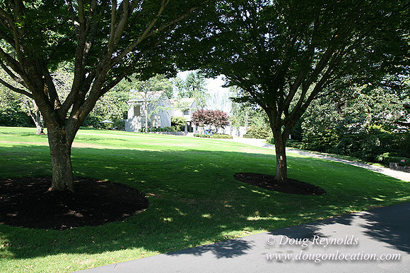 Smith House Contemporary, Modern, Dwell Style Home 3 car garage, 2 story’s, larger back yard & Front yard. Patio, PDX Zone