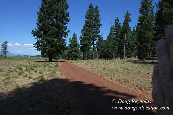 Ranch 18 South side of Hwy  has 2500 Acres of green fields Creeks water crossing Bridges on a Large Lake and miles of Dirt roads Oak trees  Forest land ATV Trails cows