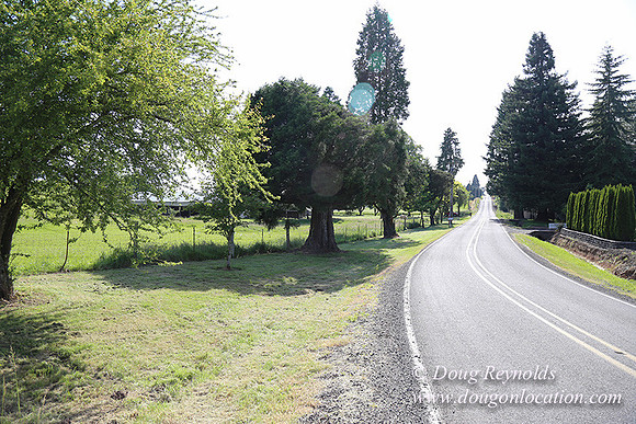 Helvetia rd at Mikes-6015