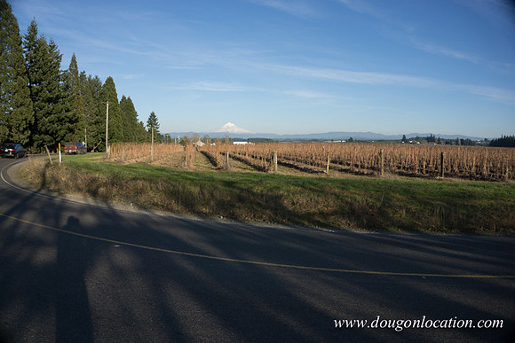 Kelso Rd W Driving E-3985