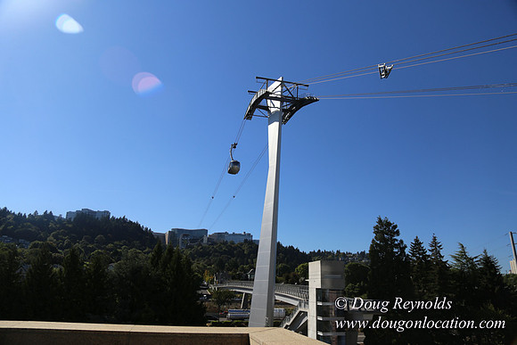 OHSU 5fl Garden-4667
