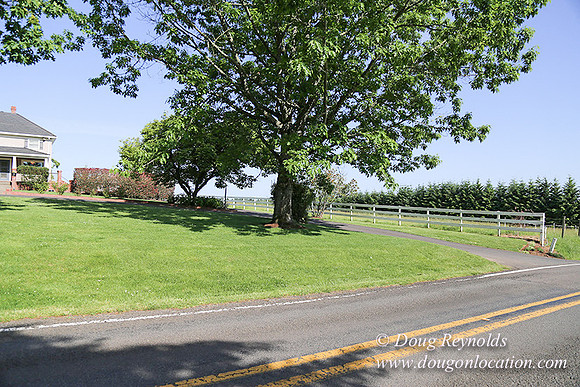 "2 Barns", "2 car garage", "40+ Acres", "PDX Zone", Pool, "White Fence", cows, "farm House", "rap around dive", "well maintained"