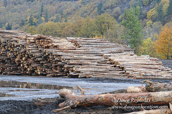 SDS Lumber-1369