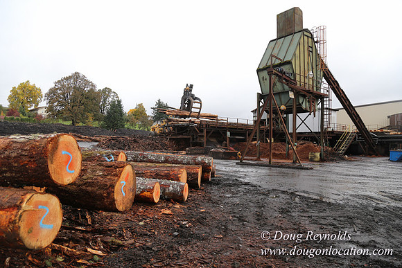 Saw Mill and Lumber Yard