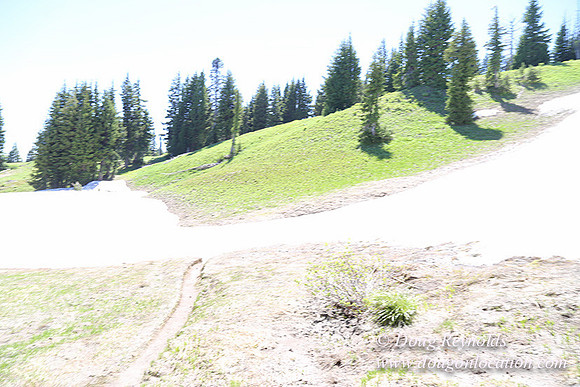 Medow's Snow-5790