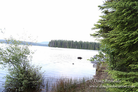 timathy Northwest Side 2-4539