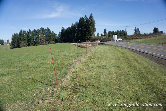 Hwy 211 Sandy-3530