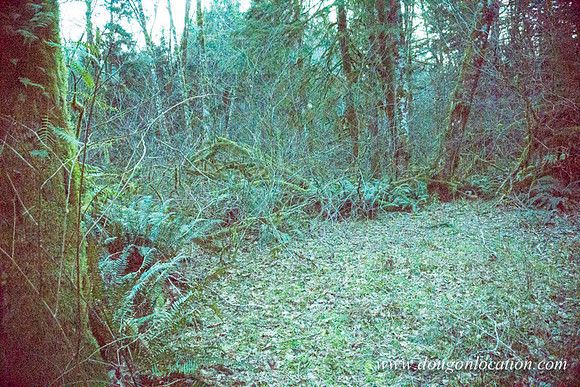 Adams Farm-3129