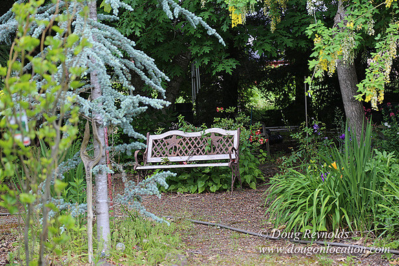 Shere's Garden Flowers & produce