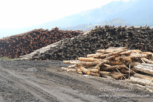 SDS Lumber-1417