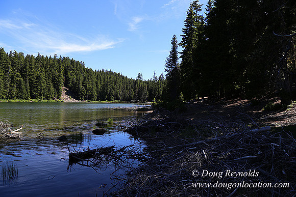 Frog Lake-3446