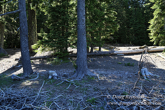 Frog Lake-3454
