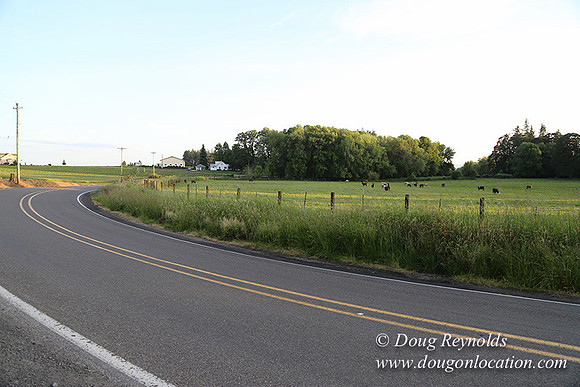 Mountaindale Rd-6428
