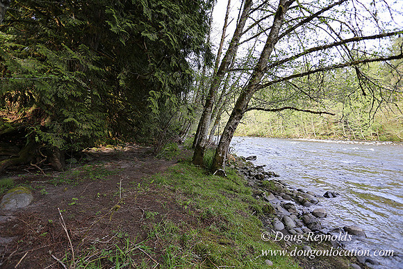 Brians River Side-0020