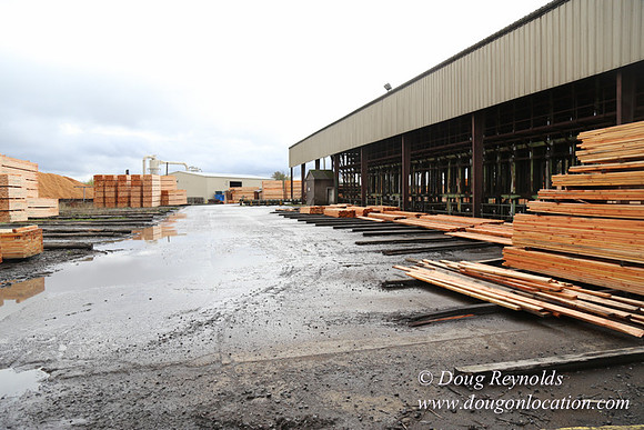 Saw Mill and Lumber Yard