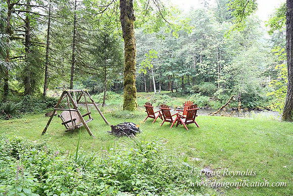 Small, Cabin, Home, River, OR, Oregon, Green, Yard,