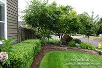Miller Home-9019