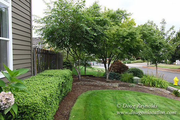 Miller Home-9019