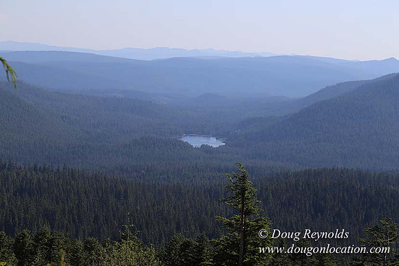 Timberline Rd View South-7021