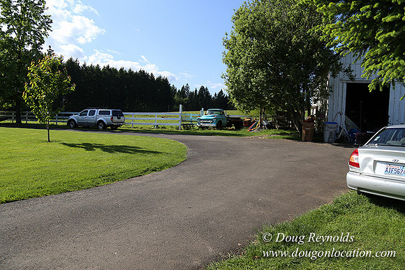 "2 Barns", "2 car garage", "40+ Acres", "PDX Zone", Pool, "White Fence", cows, "farm House", "rap around dive", "well maintained"