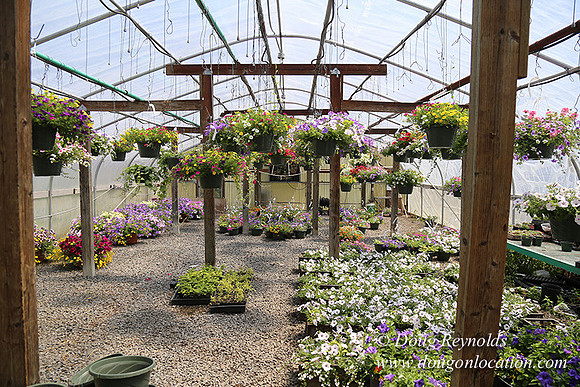 lee Farms-5292