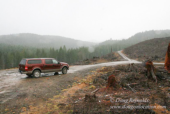 WC Clear Cut 2010-7801