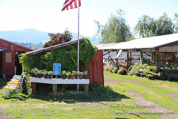 Thompson Rd Farm-8279
