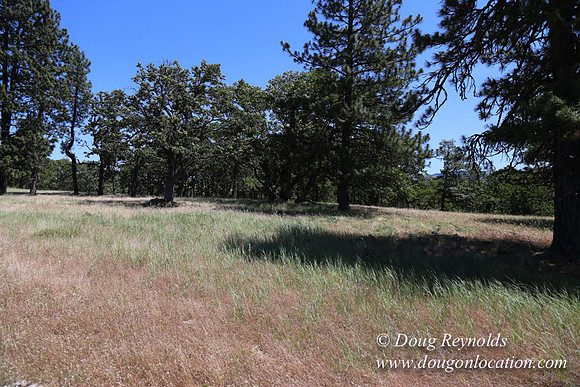 Brothers Ranch-8489