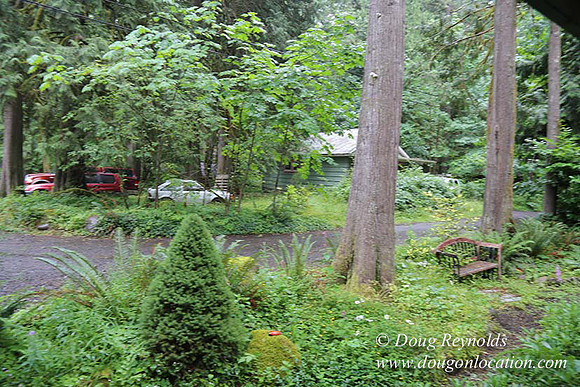Small, Cabin, Home, River, OR, Oregon, Green, Yard,