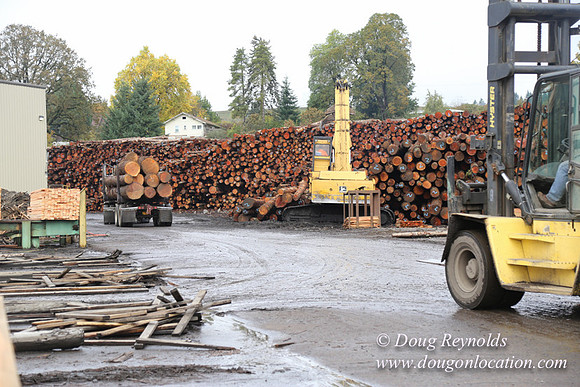 Saw Mill and Lumber Yard