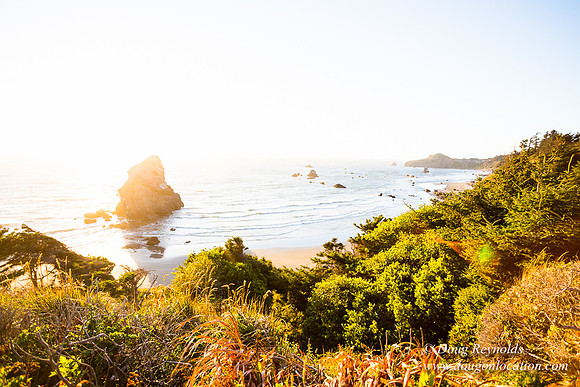 OPVPSBSP  Rock Coastal Area