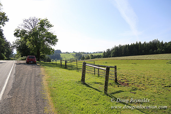 Helvetia rd Church-6078