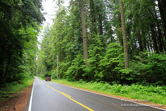 Larch Mt Rd