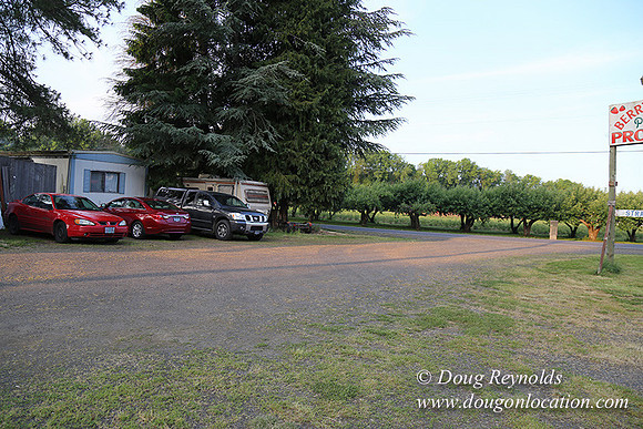 peggy's Produce-5099