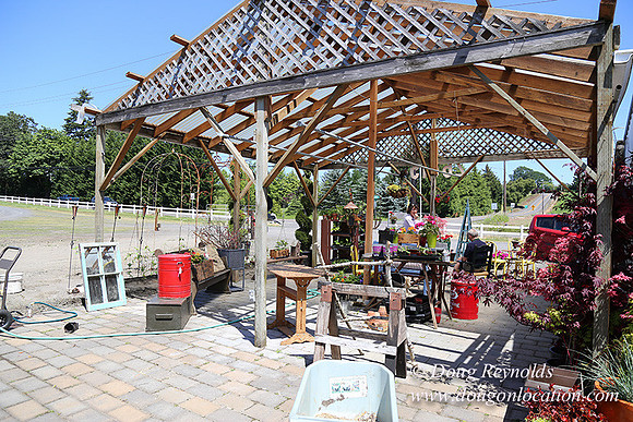 Little Door Farm Market-5413
