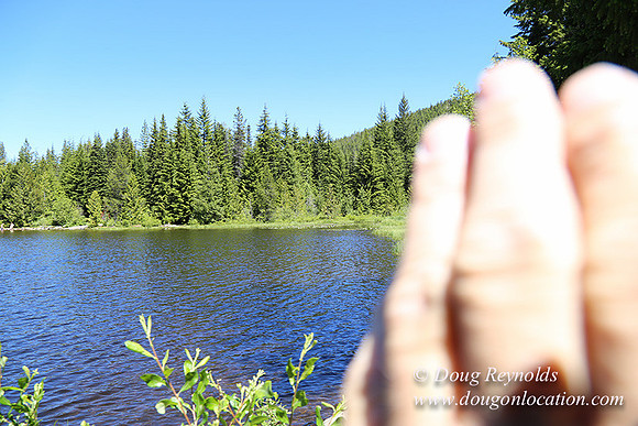 Trillium Lake-32003582