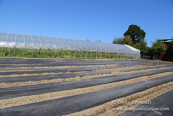 Vahan's Farm & Market-5200