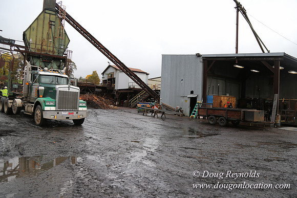Saw Mill and Lumber Yard