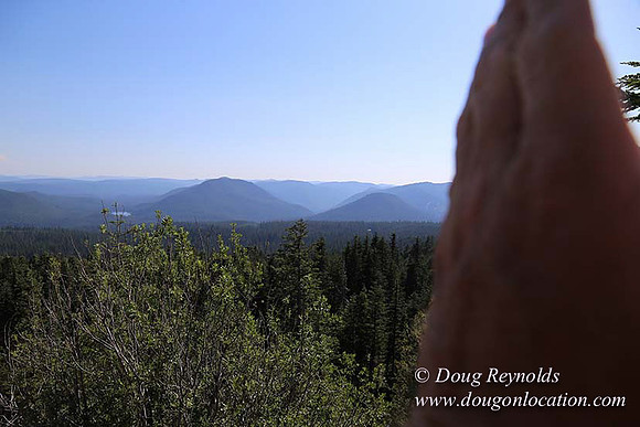 Timberline Rd View South-6998