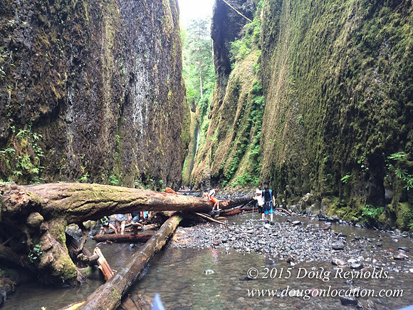 Oneonta Falls