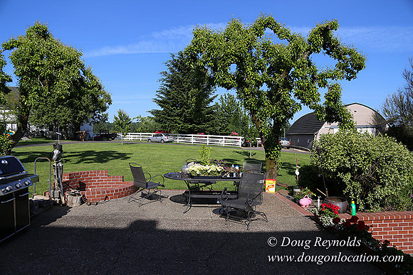 "2 Barns", "2 car garage", "40+ Acres", "PDX Zone", Pool, "White Fence", cows, "farm House", "rap around dive", "well maintained"