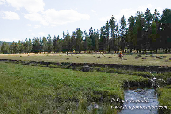 Ranch 18 South side of Hwy  has 2500 Acres of green fields Creeks water crossing Bridges on a Large Lake and miles of Dirt roads Oak trees  Forest land ATV Trails cows
